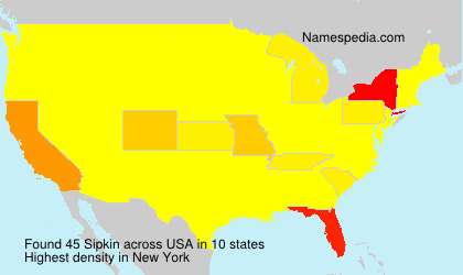 Surname Sipkin in USA Surname Sipkin in USA