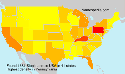 Sipple Sipple