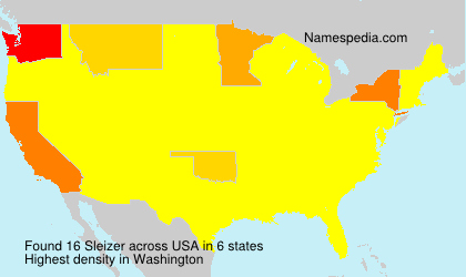 Surname Sleizer in USA Surname Sleizer in USA