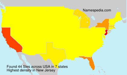 Surname Sles in USA Surname Sles in USA