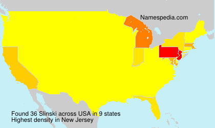 Surname Slinski in USA Surname Slinski in USA