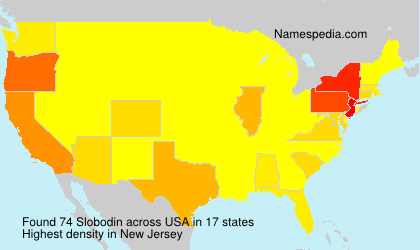 Surname Slobodin in USA Surname Slobodin in USA