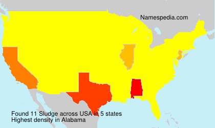 Surname Sludge in USA Surname Sludge in USA