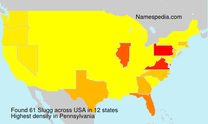 Surname Slugg in USA Surname Slugg in USA