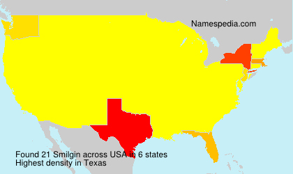 Surname Smilgin in USA Surname Smilgin in USA