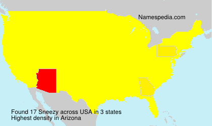 Surname Sneezy in USA Surname Sneezy in USA