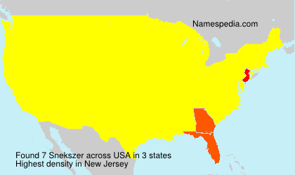 Surname Snekszer in USA Surname Snekszer in USA