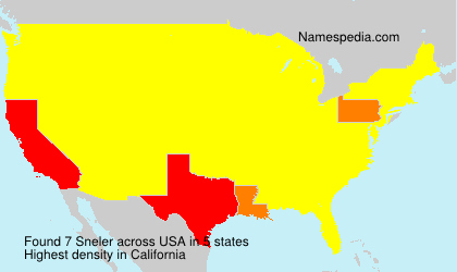 Surname Sneler in USA Surname Sneler in USA