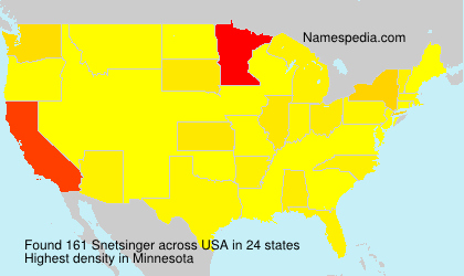 Surname Snetsinger in USA Surname Snetsinger in USA