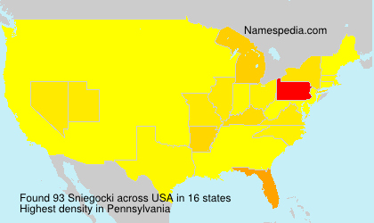 Surname Sniegocki in USA Surname Sniegocki in USA