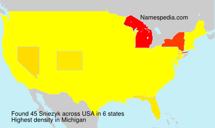 Surname Sniezyk in USA Surname Sniezyk in USA