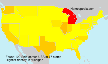 Surname Snip in USA Surname Snip in USA
