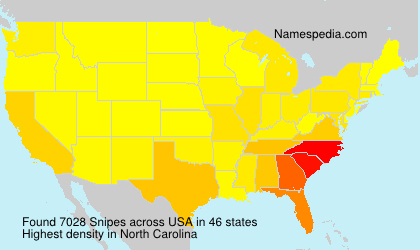 Surname Snipes in USA Surname Snipes in USA