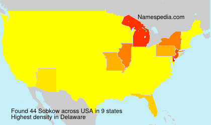 Surname Sobkow in USA Surname Sobkow in USA