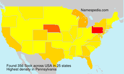 Surname Sock in USA Surname Sock in USA