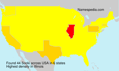 Surname Socki in USA Surname Socki in USA