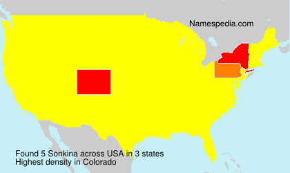 Surname Sonkina in USA Surname Sonkina in USA