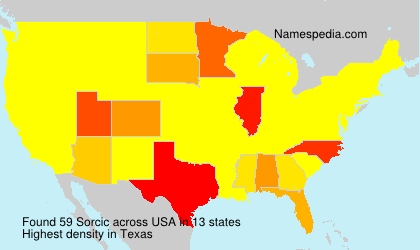 Surname Sorcic in USA