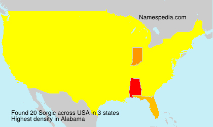 Surname Sorgic in USA Surname Sorgic in USA