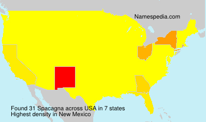 Surname Spacagna in USA Surname Spacagna in USA