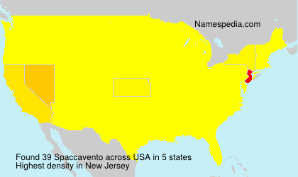 Surname Spaccavento in USA Surname Spaccavento in USA