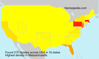 Surname Spadea in USA Surname Spadea in USA