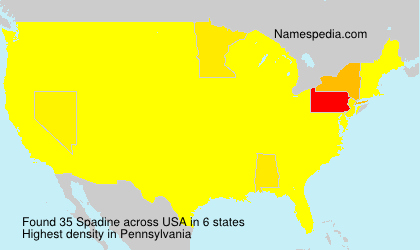 Surname Spadine in USA Surname Spadine in USA