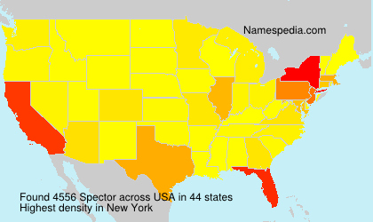 Surname Spector in USA Surname Spector in USA