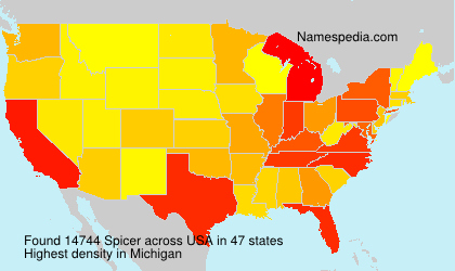 Surname Spicer in USA Surname Spicer in USA