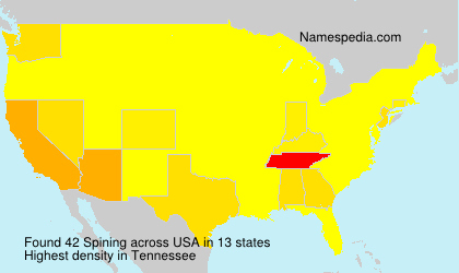 Surname Spining in USA Surname Spining in USA