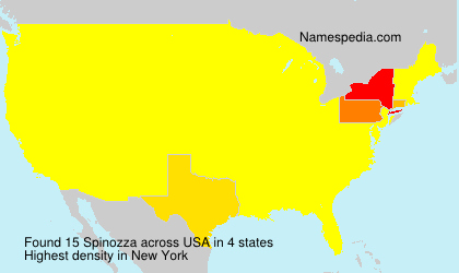 Surname Spinozza in USA Surname Spinozza in USA