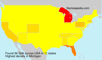 Surname Split in USA Surname Split in USA