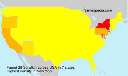 Surname Sprafkin in USA