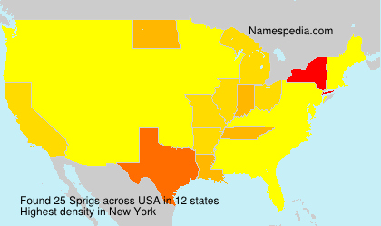 Surname Sprigs in USA Surname Sprigs in USA