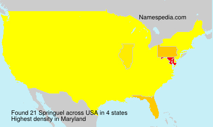 Surname Springuel in USA Surname Springuel in USA