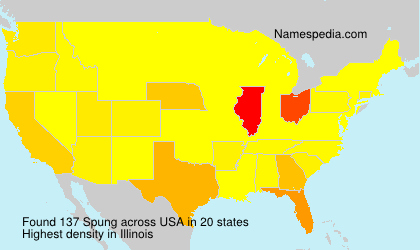 Surname Spung in USA Surname Spung in USA