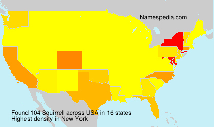 Squirrell
