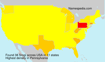 Surname Srogi in USA Surname Srogi in USA