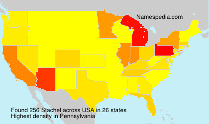 Surname Stachel in USA Surname Stachel in USA