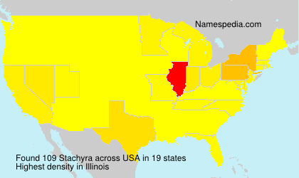 Stachyra Stachyra