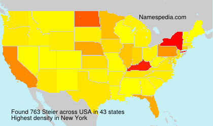 Surname Steier in USA
