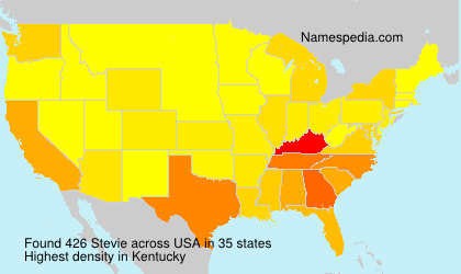 Surname Stevie in USA