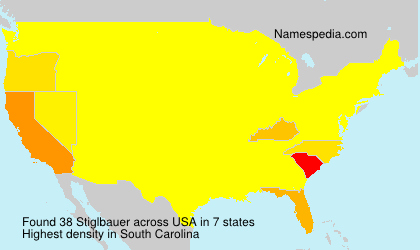 Surname Stiglbauer in USA Surname Stiglbauer in USA