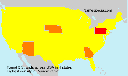 Surname Strands in USA Surname Strands in USA