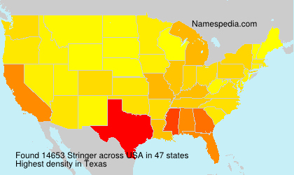 Surname Stringer in USA Surname Stringer in USA