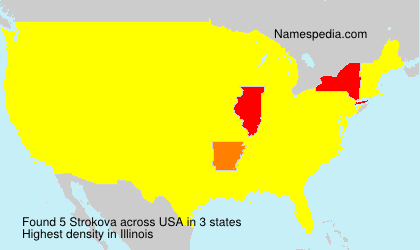 Surname Strokova in USA Surname Strokova in USA
