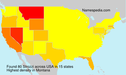 Surname Strozzi in USA Surname Strozzi in USA