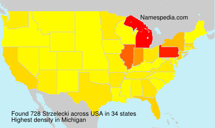 Surname Strzelecki in USA Surname Strzelecki in USA