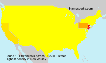 Surname Strzeminski in USA Surname Strzeminski in USA