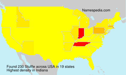 Surname Stuffle in USA Surname Stuffle in USA